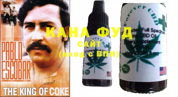 хмурый Козельск